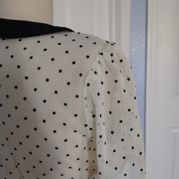Zara Tulle Polka Dot Blouse - Picture 8 of 8